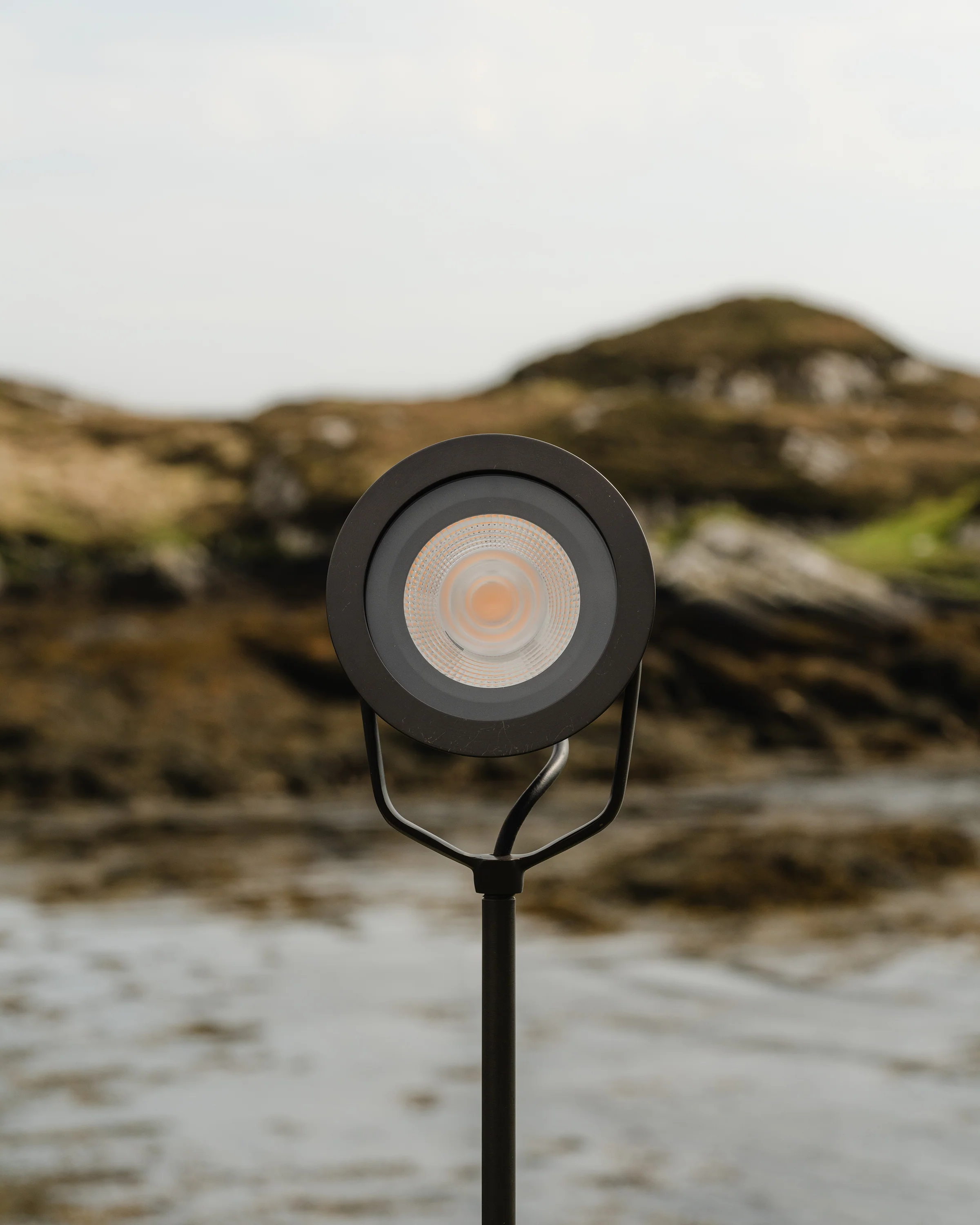 Cambridge Yard Floodlight - Bronze - Image 6