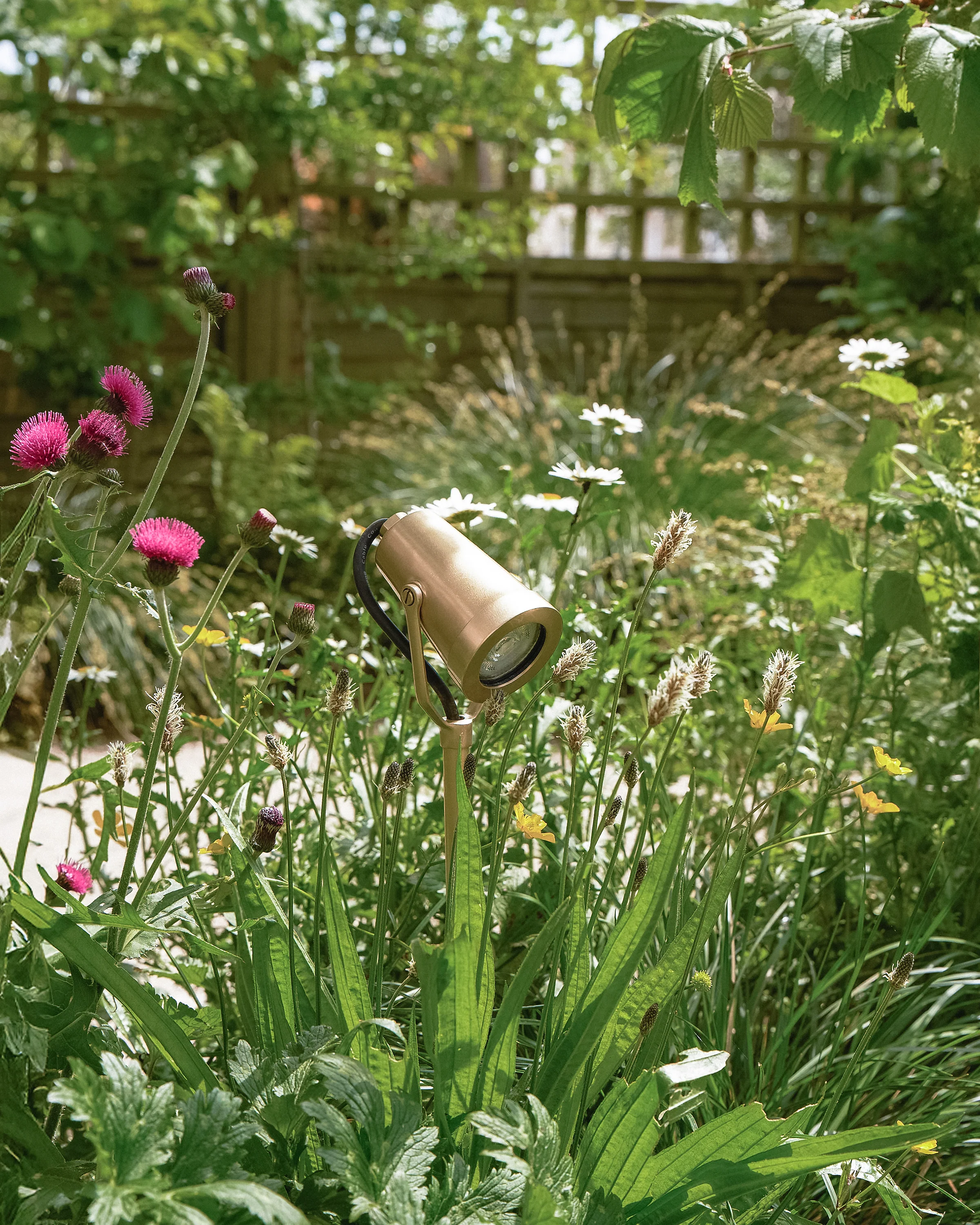 Cambridge Yard Spotlight - Antique Brass - Image 6