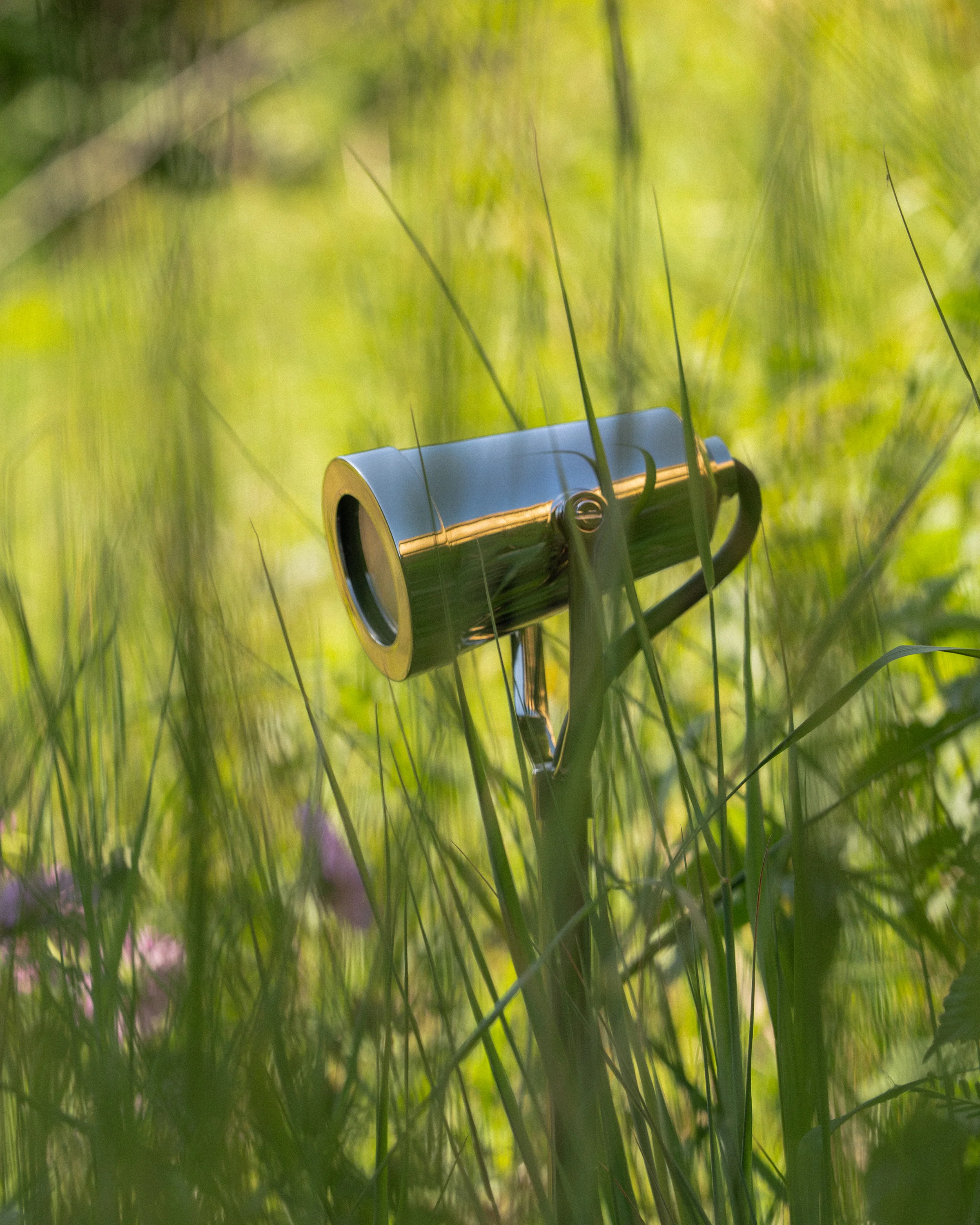 Cambridge Yard Spotlight - Polished Nickel - Image 4