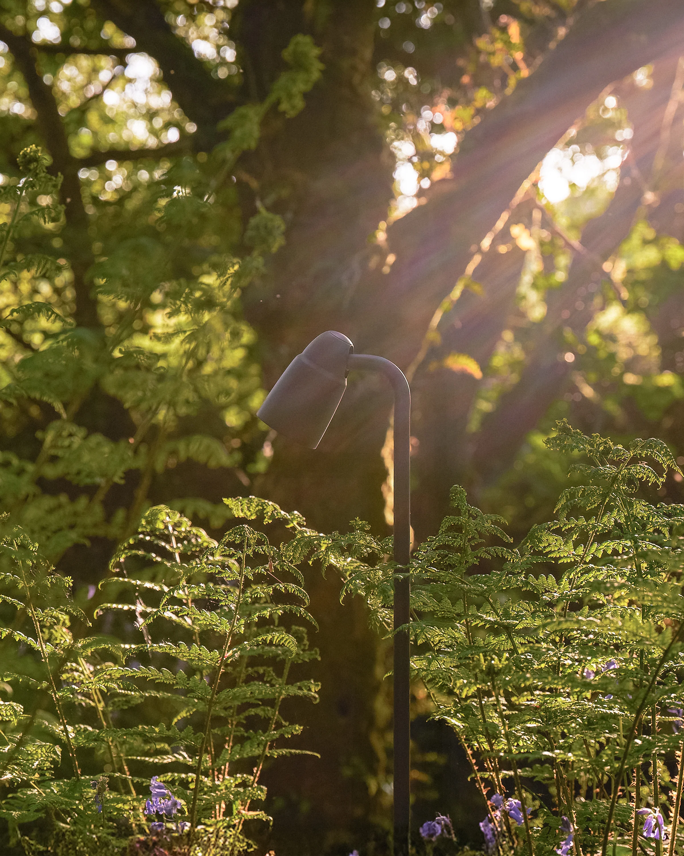 Ealing Path Spotlight - Bronze - Image 4