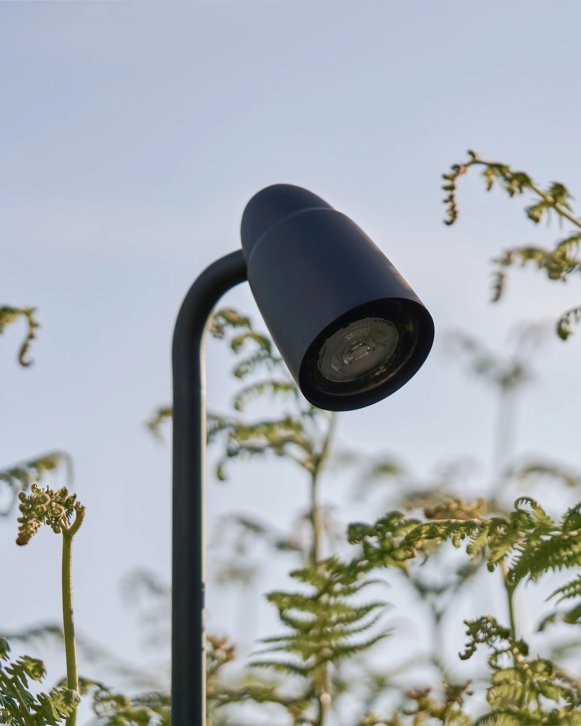 Ealing Path Spotlight - Bronze - Image 6