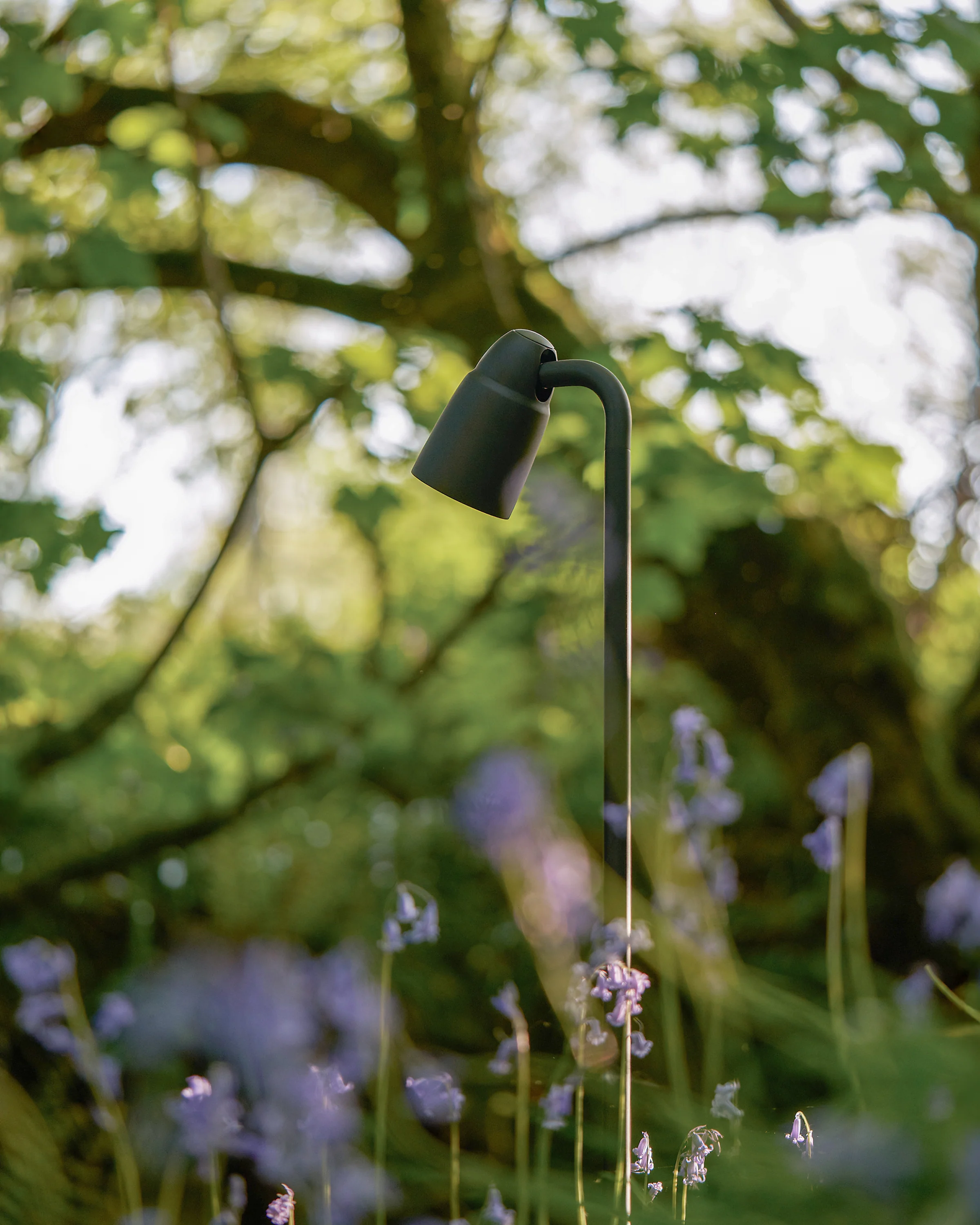 Ealing Path Spotlight - Bronze - Image 9