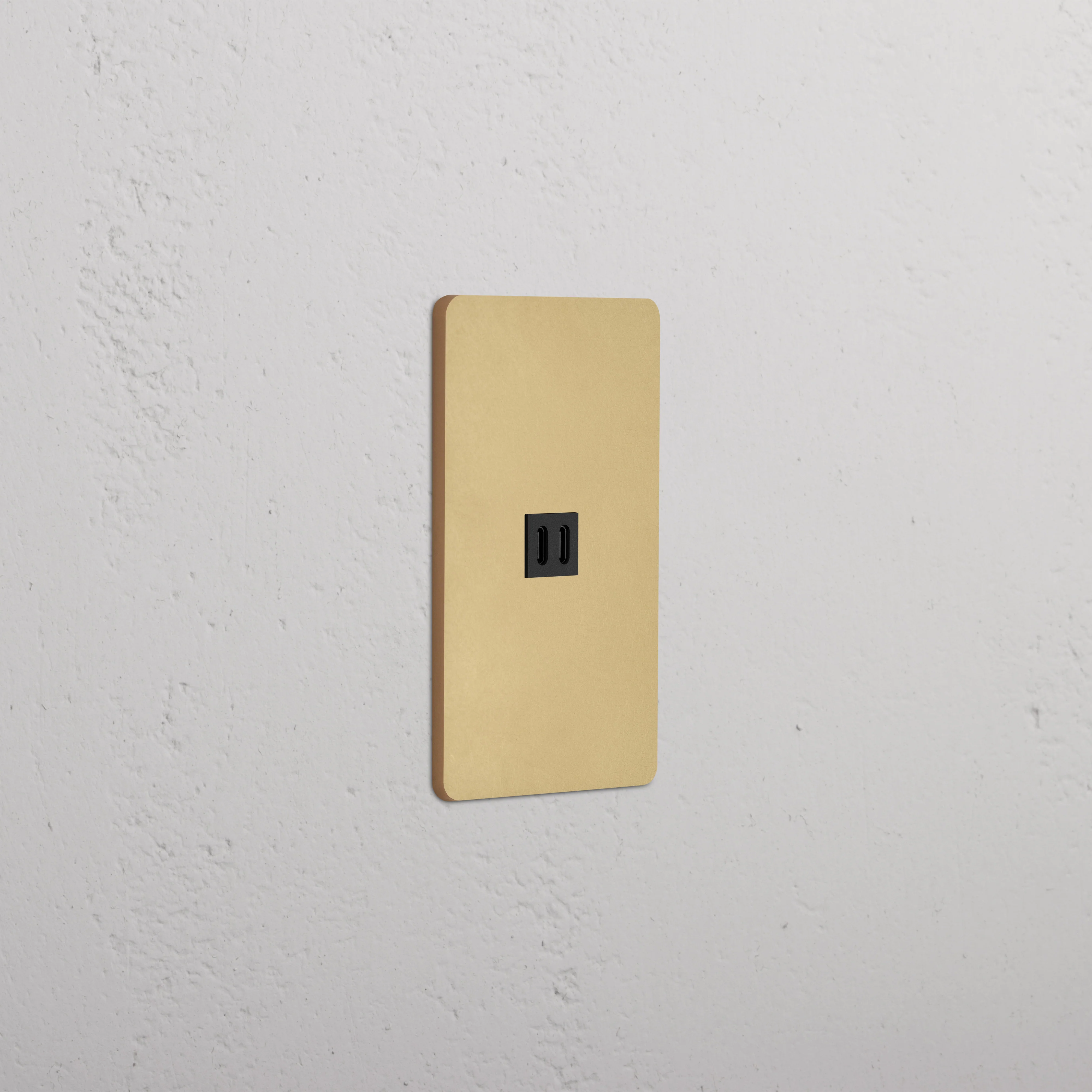 Grove 1G Fast Charge 45W USB Keystone - Antique Brass Black