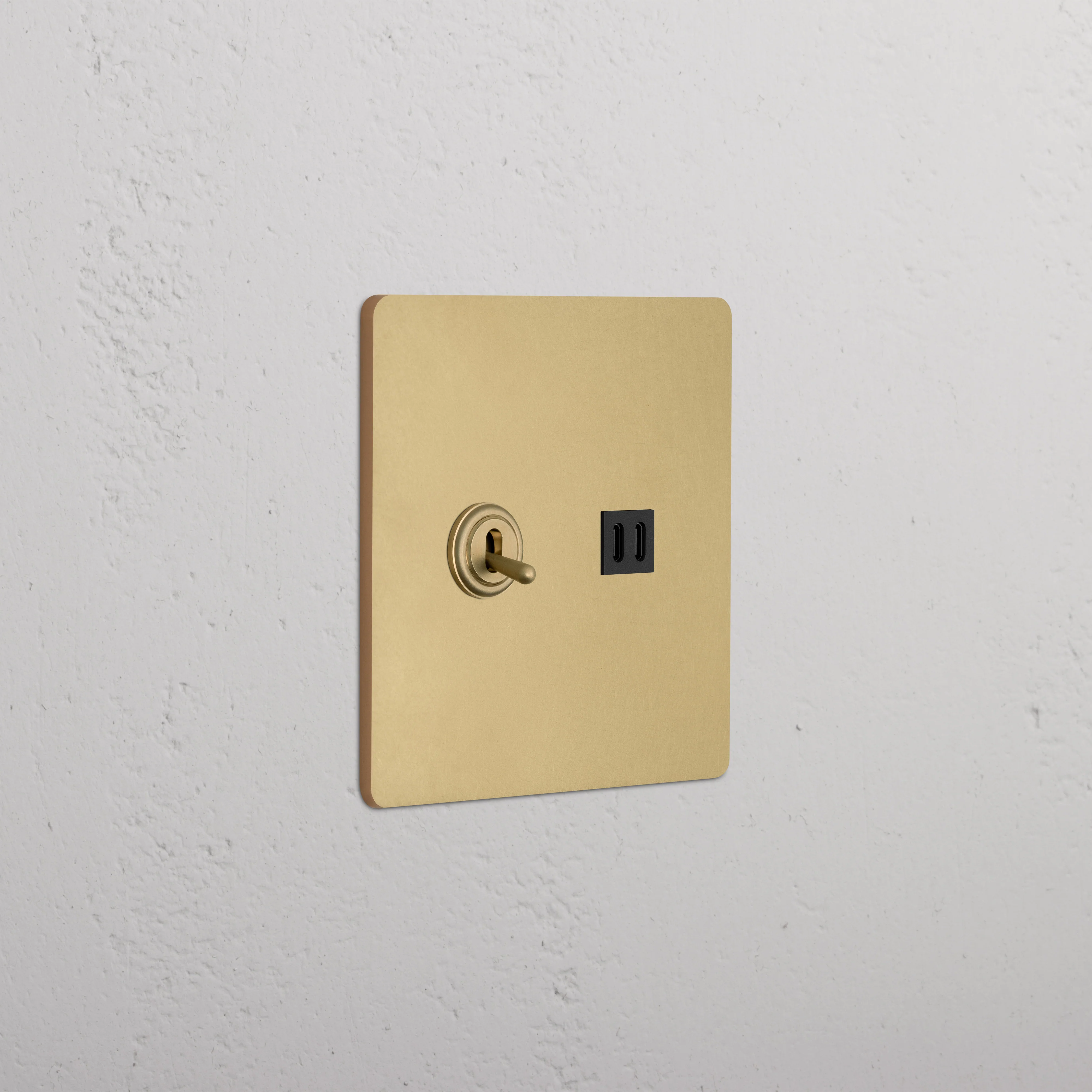 Grove 2G Toggle Switch & Fast Charge USB - Antique Brass Black