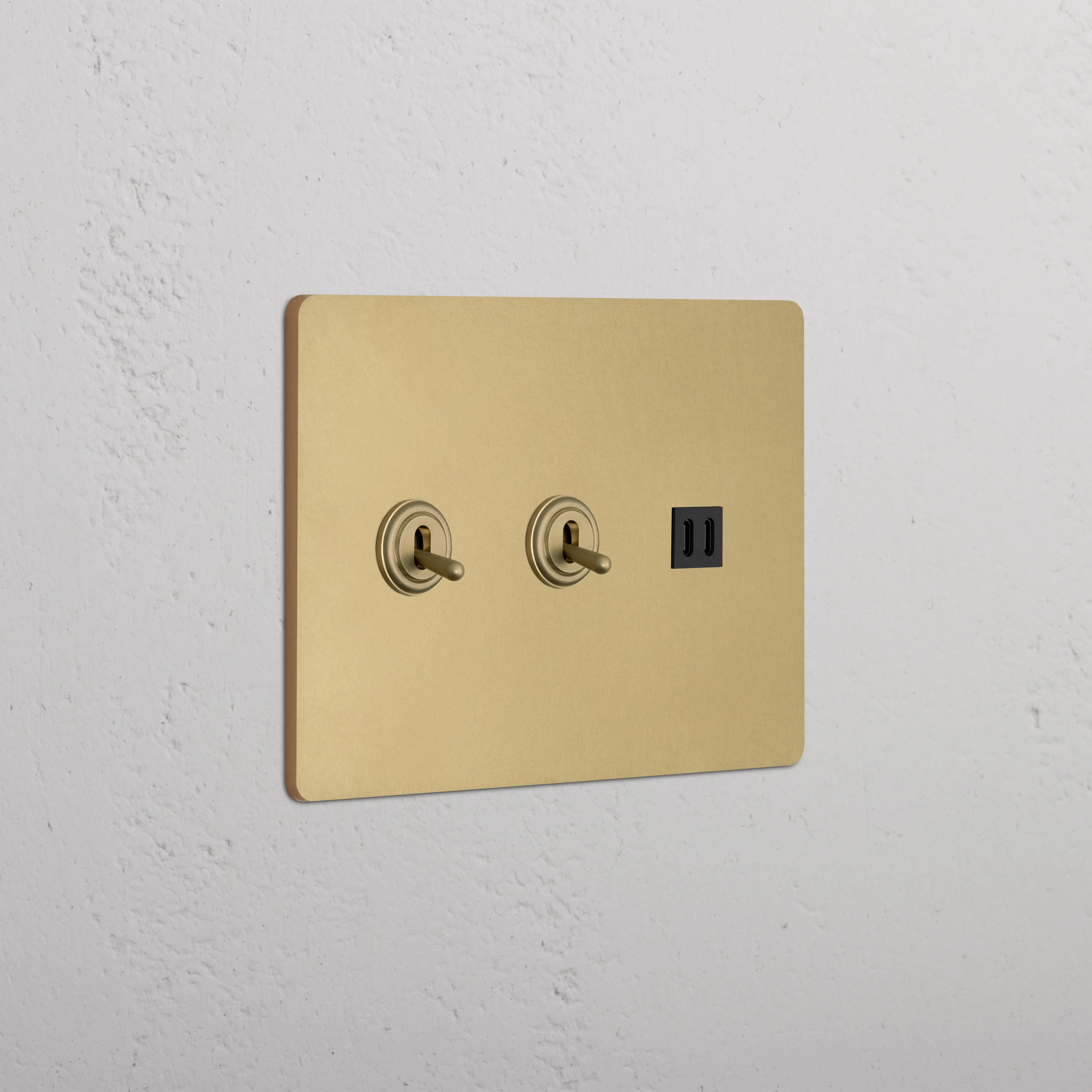 Grove 3G 2x Toggle Switch & Fast Charge USB - Antique Brass Black