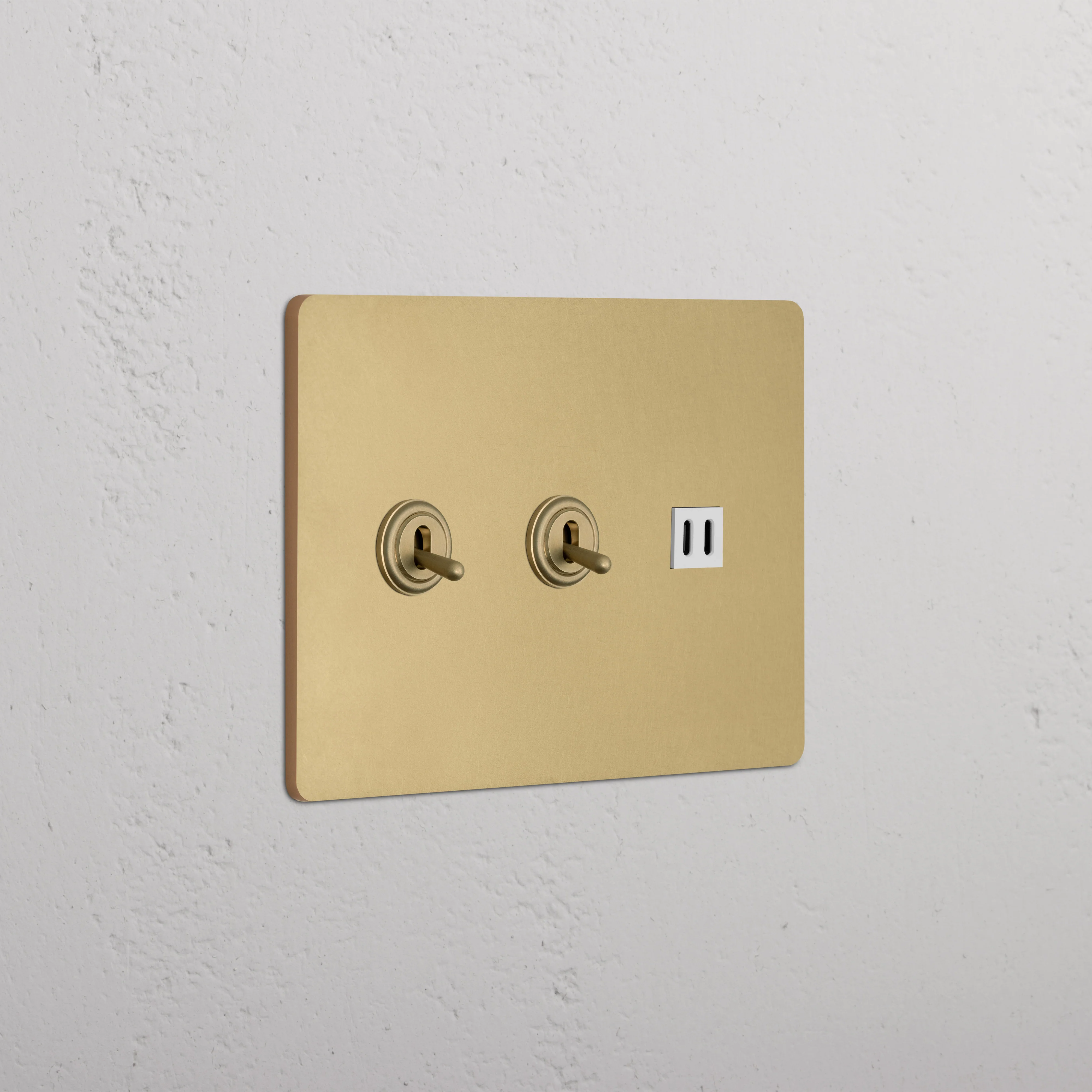 Grove 3G 2x Toggle Switch & Fast Charge USB - Antique Brass White
