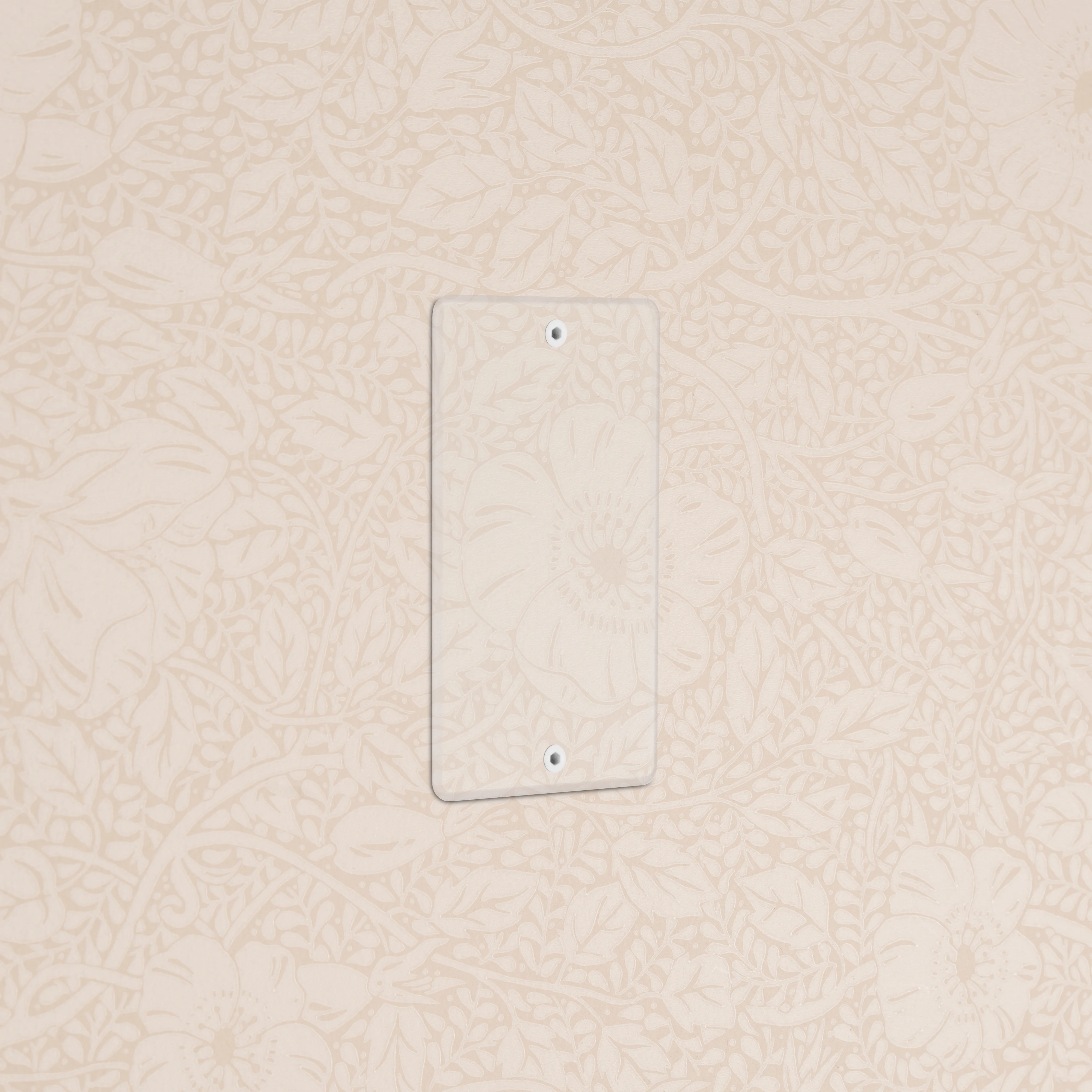 Kew 1G Blank Plate - Clear