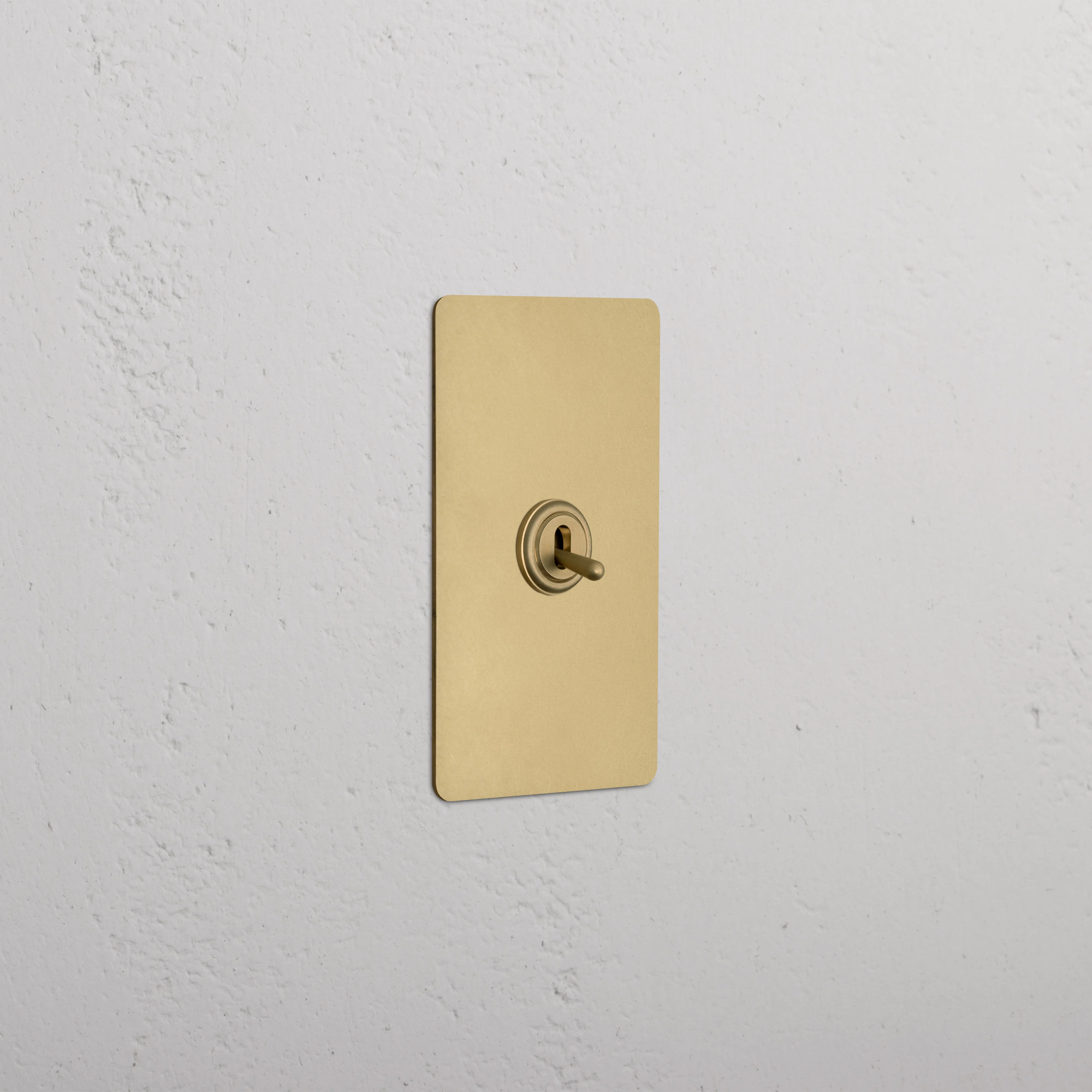 Kew 1G Double Pole Toggle Switch - Antique Brass