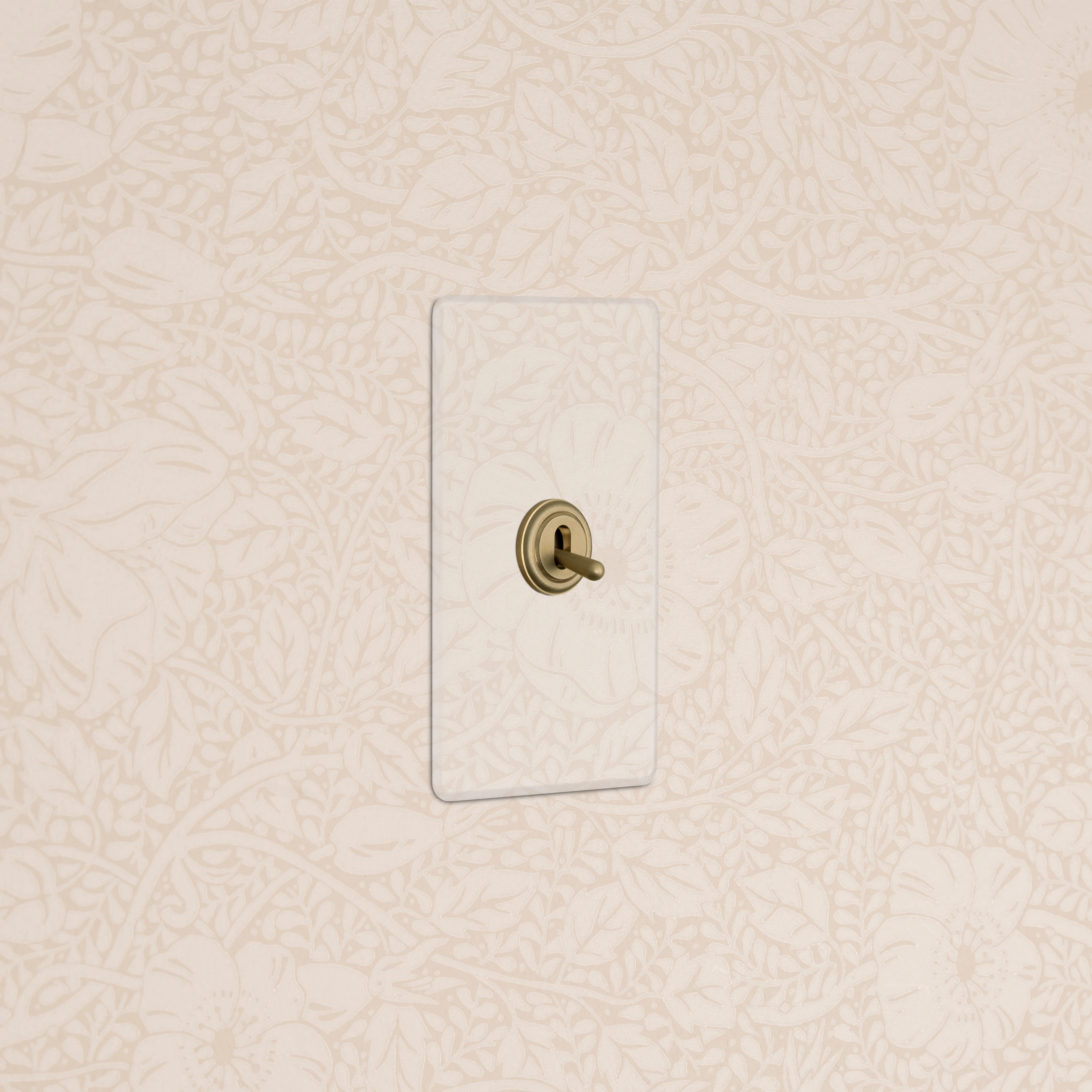 Kew 1G Double Pole Toggle Switch - Clear Antique Brass