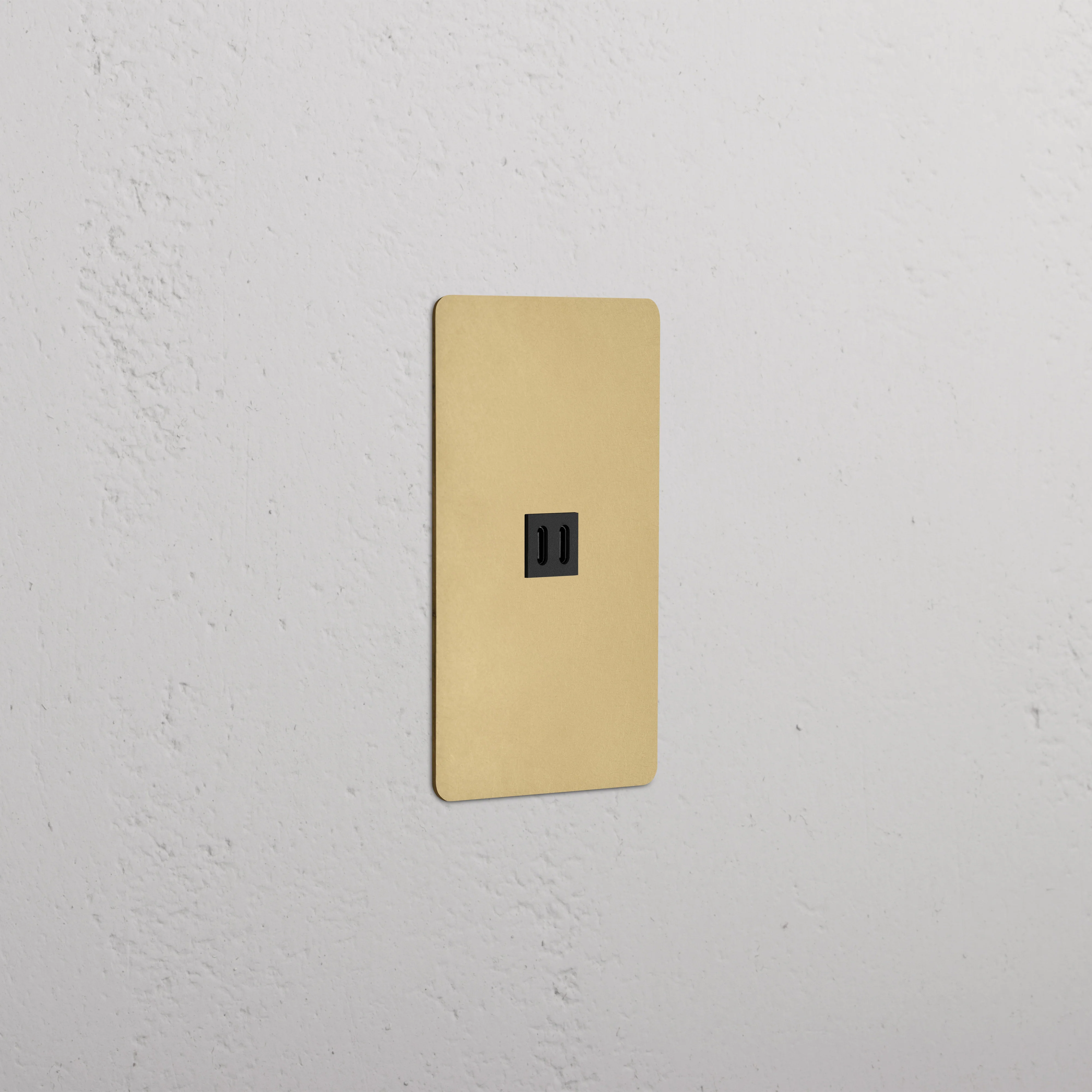 Kew 1G Fast Charge 65W USB Keystone - Antique Brass Black