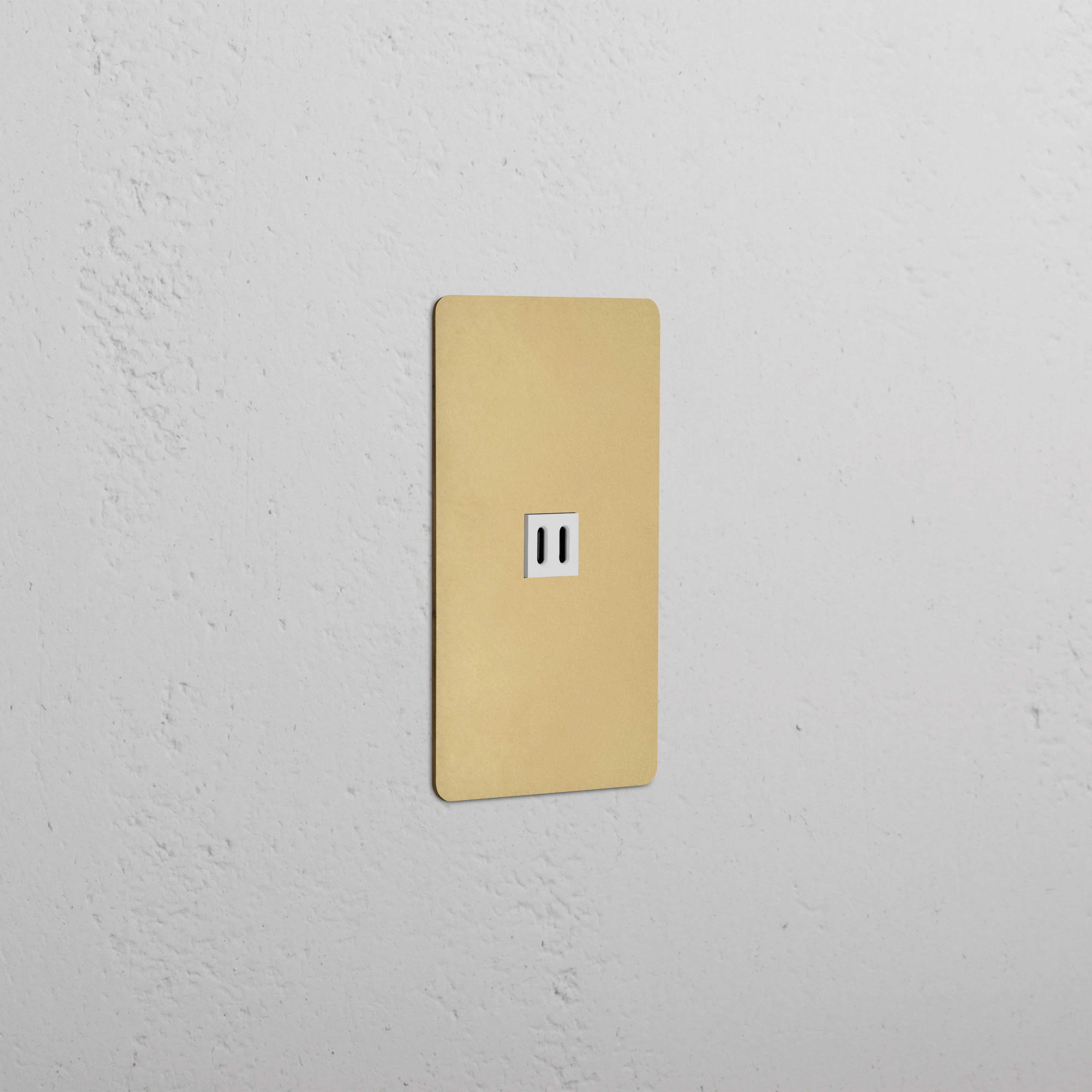 Kew 1G Fast Charge 65W USB Keystone - Antique Brass White