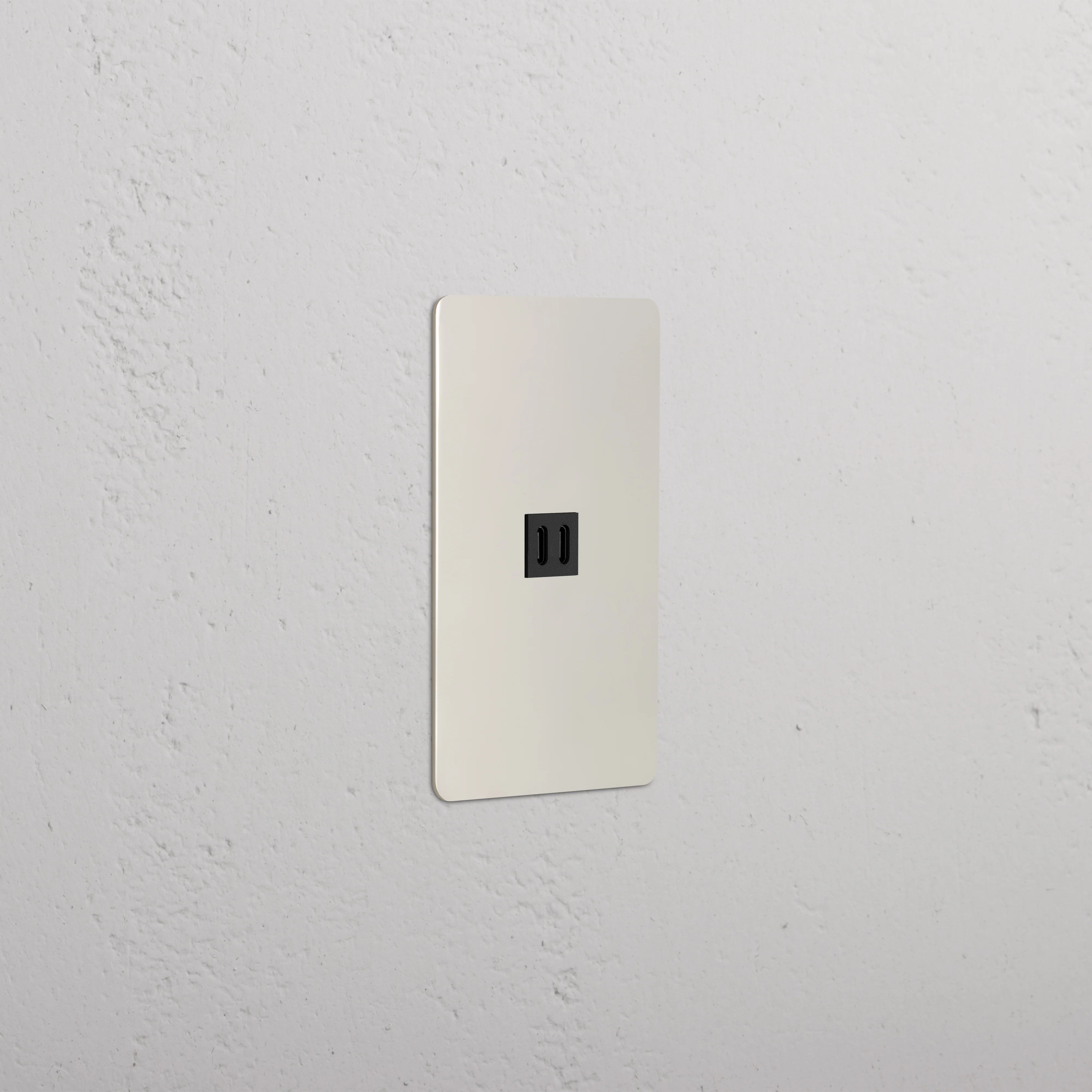 Kew 1G Fast Charge 65W USB Keystone - Polished Nickel Black