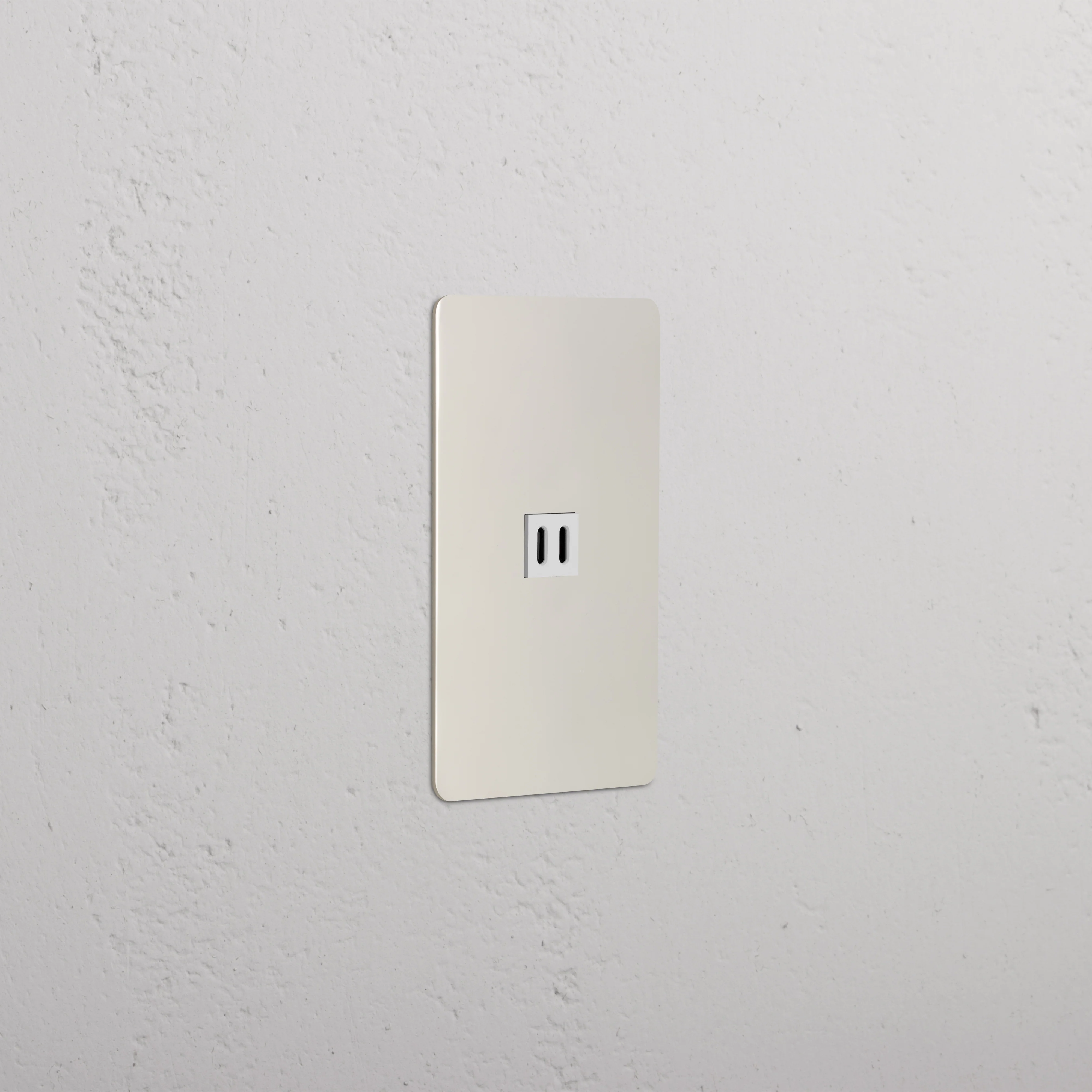 Kew 1G Fast Charge 65W USB Keystone - Polished Nickel White