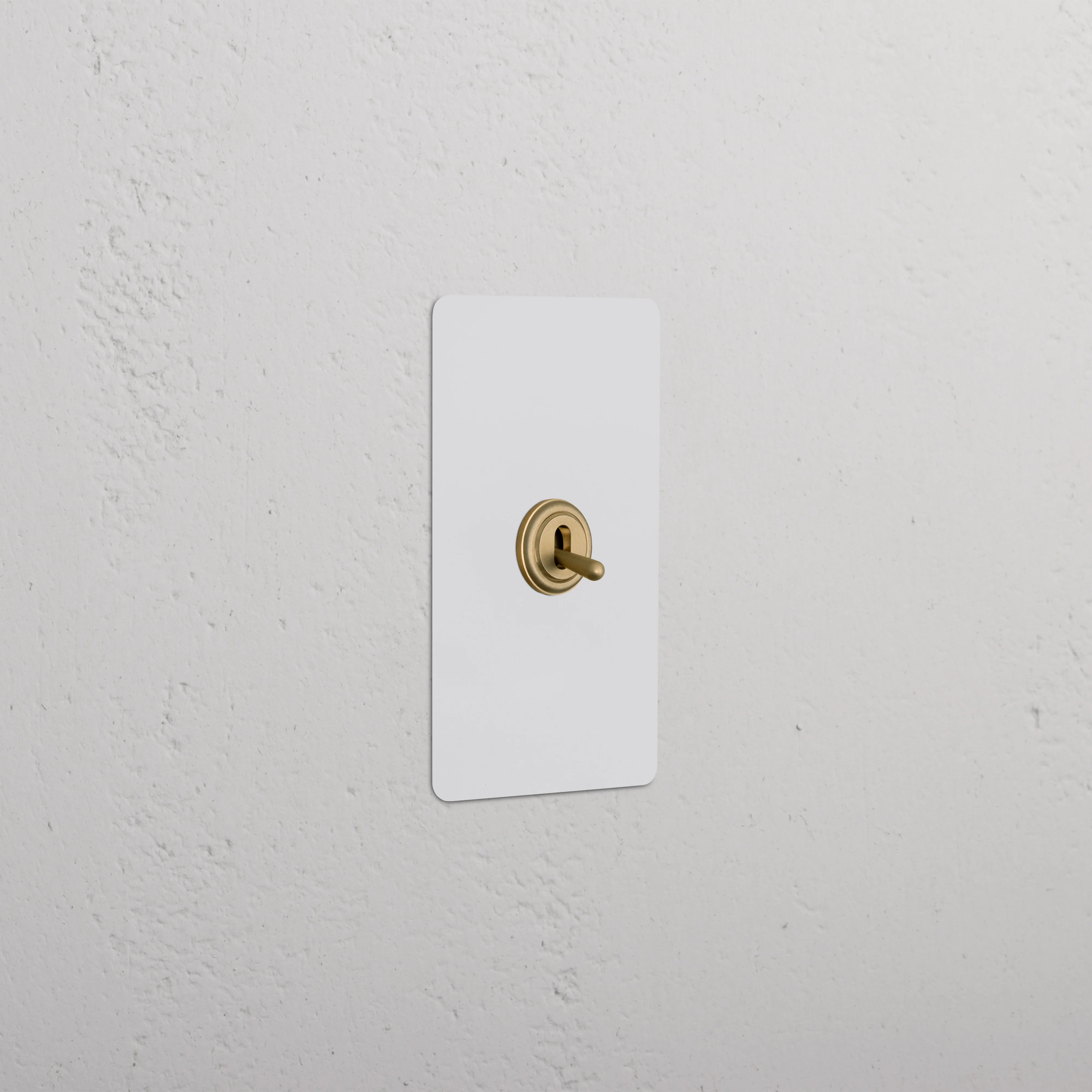 Kew 1G Toggle Switch - Paintable Antique Brass