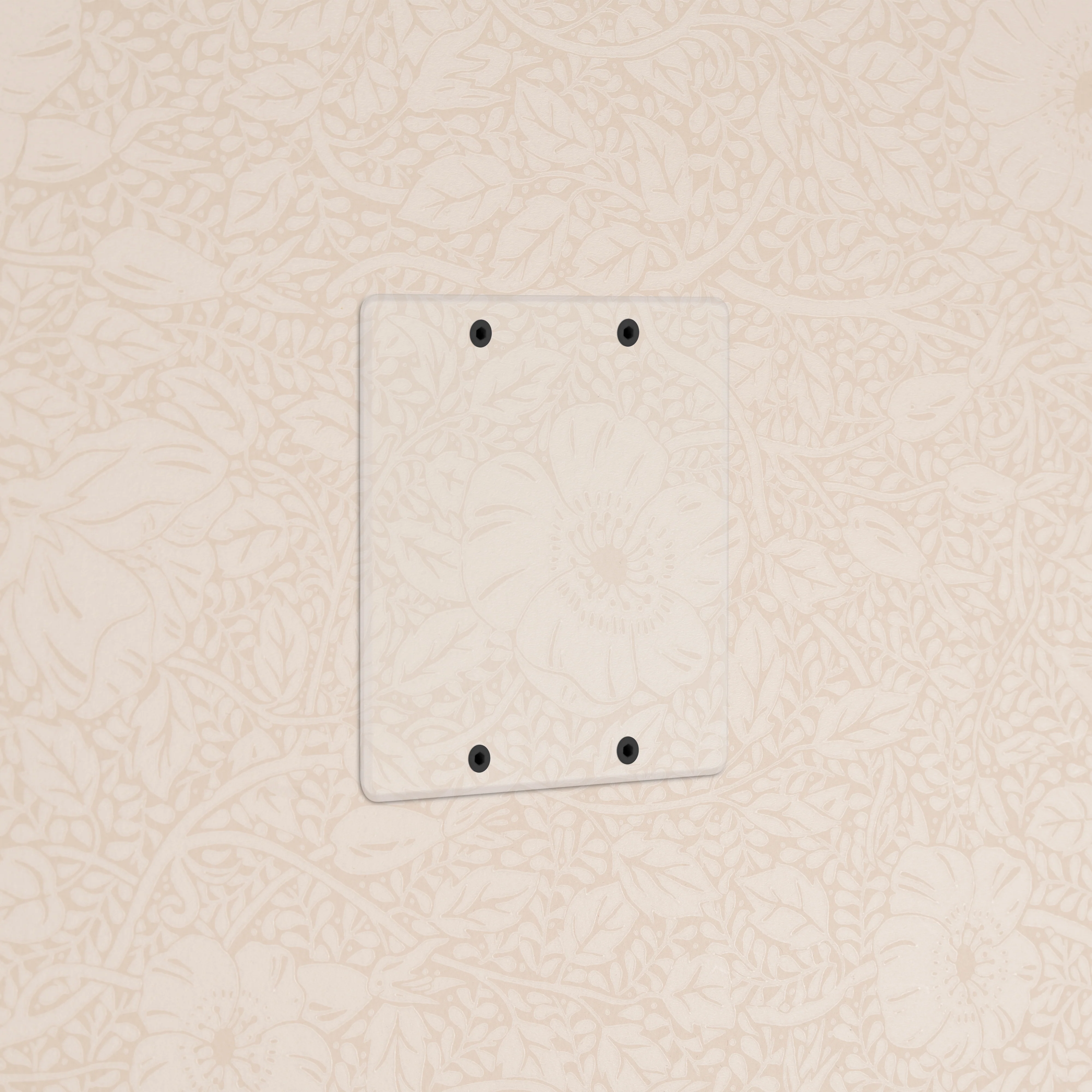 Kew 2G Blank Plate - Clear - Image 2