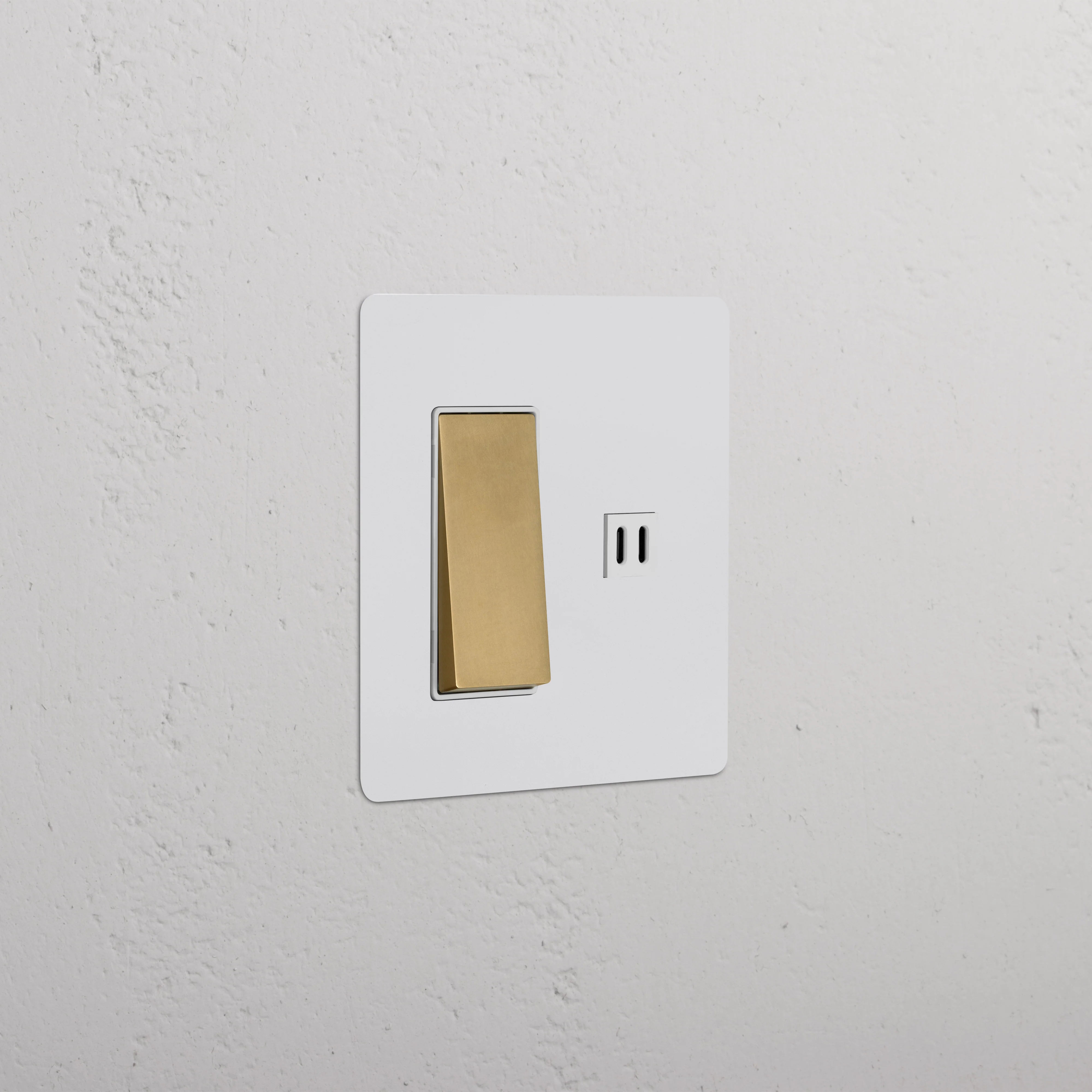 Kew 2G Rocker Switch & Fast Charge USB - Paintable Antique Brass White