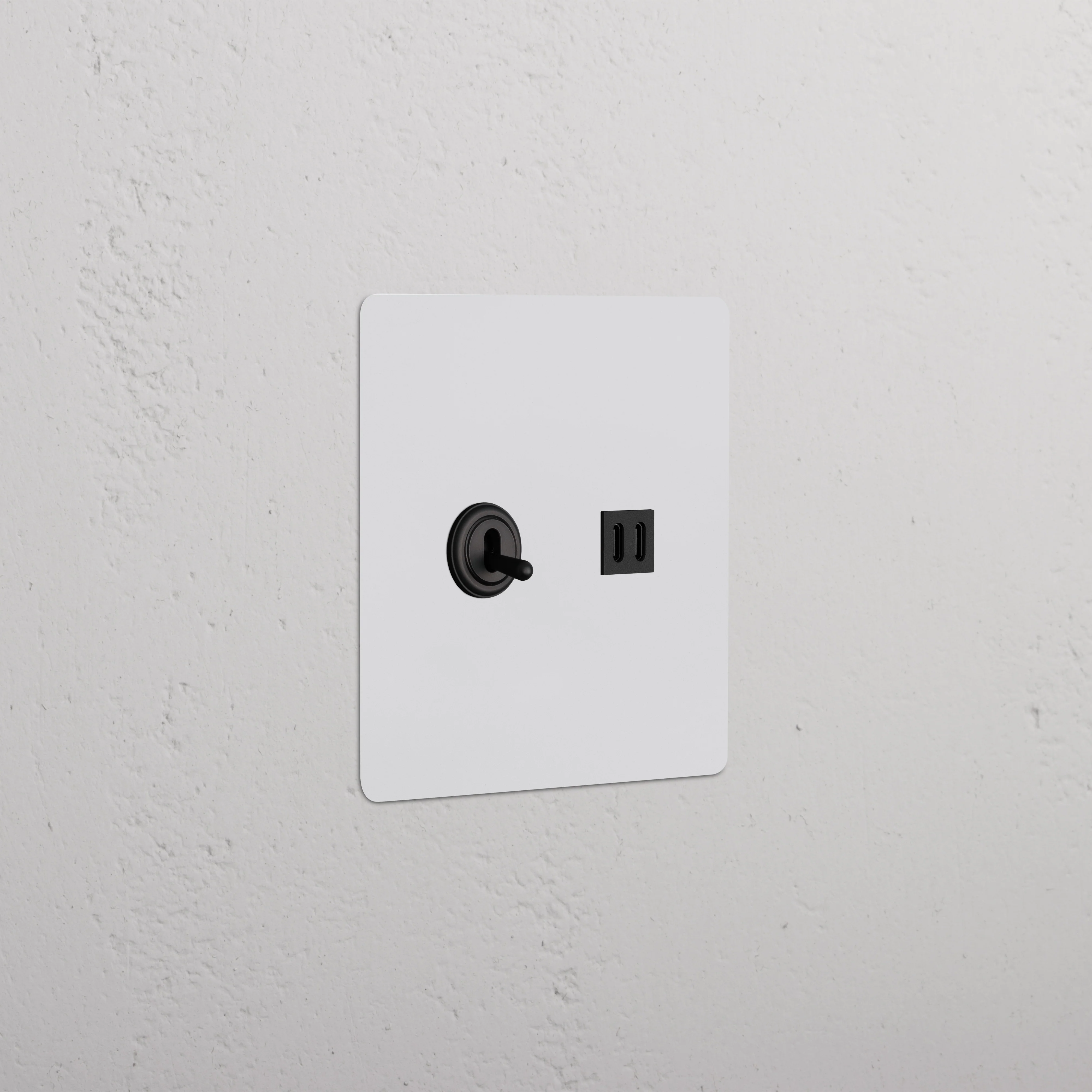 Kew 2G Toggle Switch & Fast Charge USB - Paintable Bronze Black