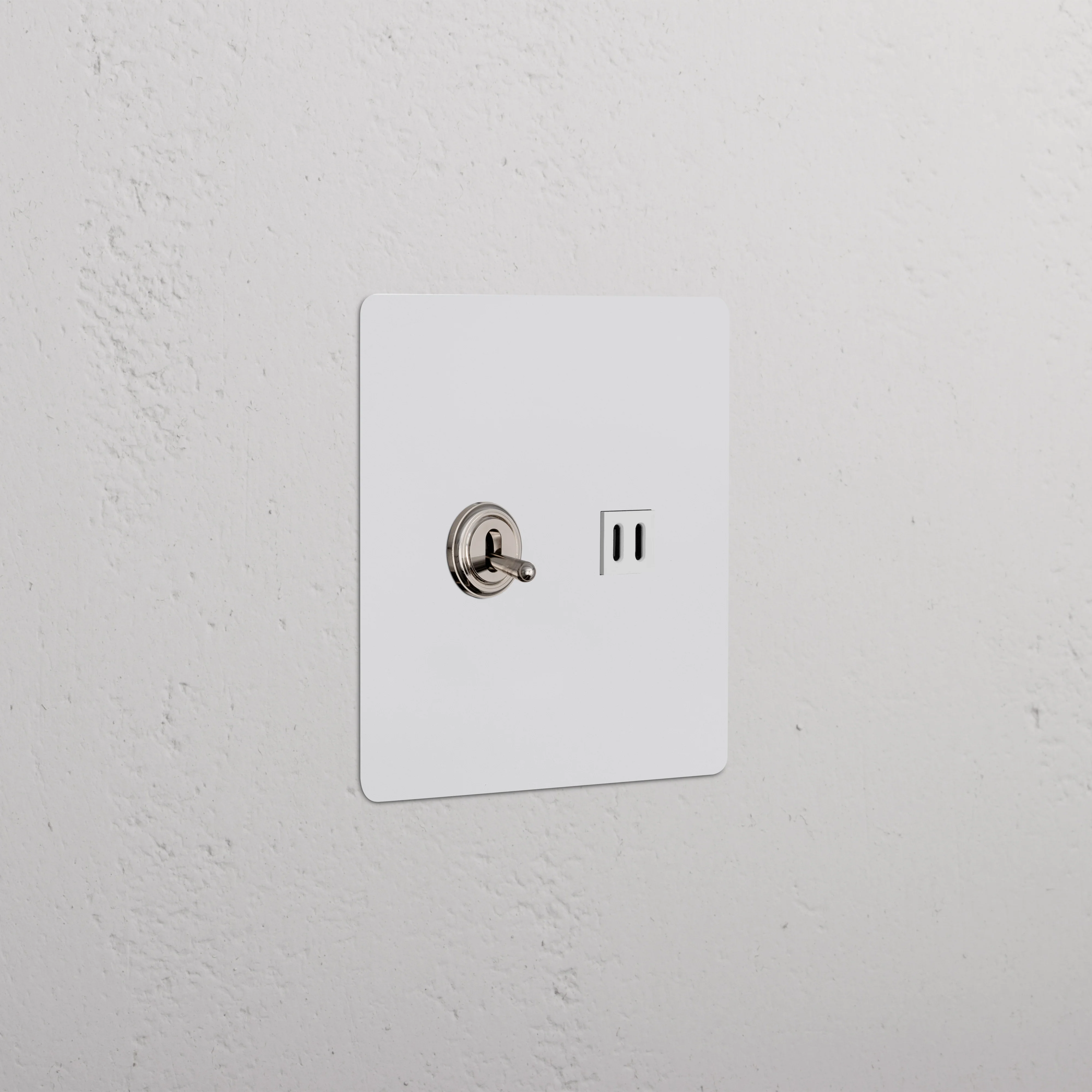 Kew 2G Toggle Switch & Fast Charge USB - Paintable Polished Nickel White