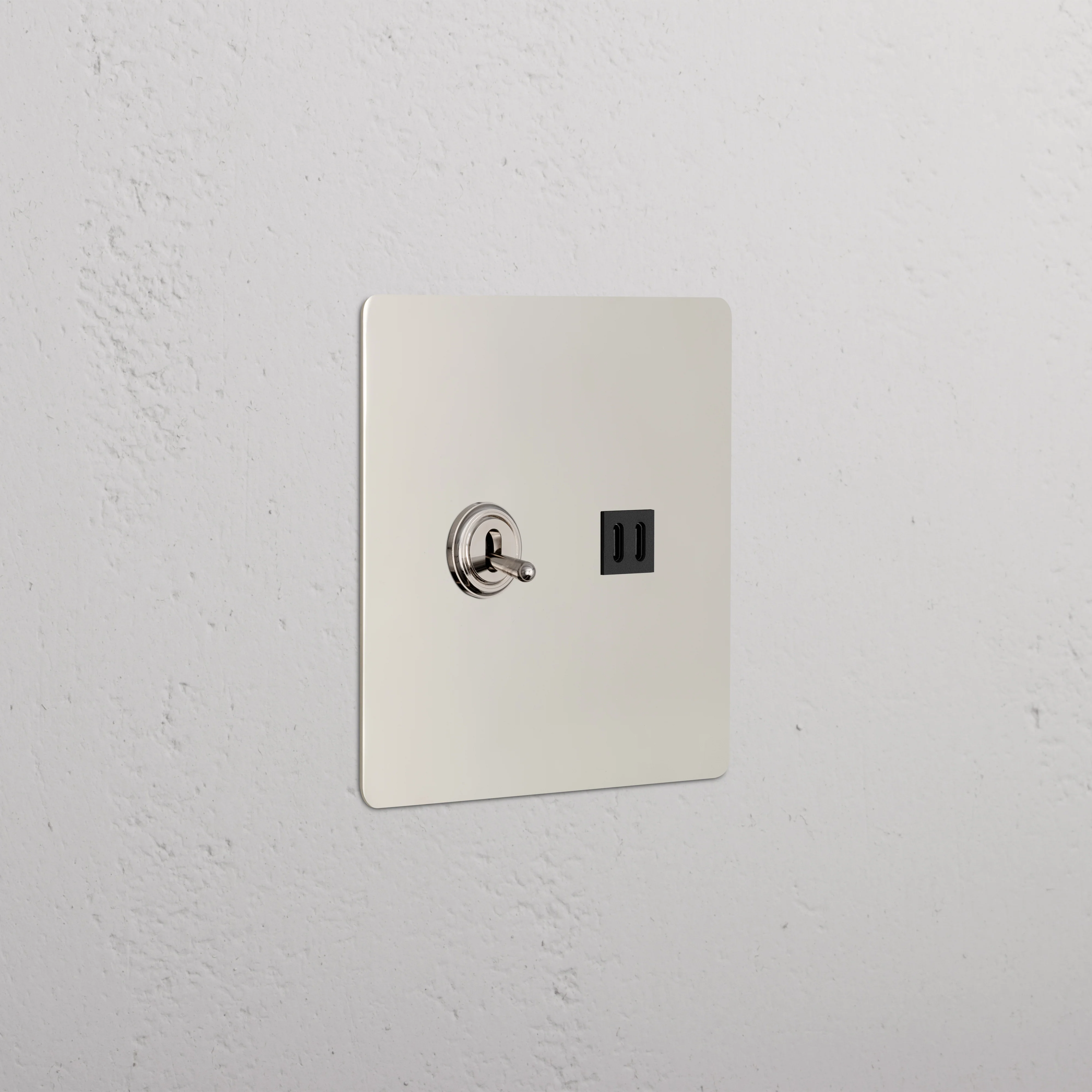 Kew 2G Toggle Switch & Fast Charge USB - Polished Nickel Black