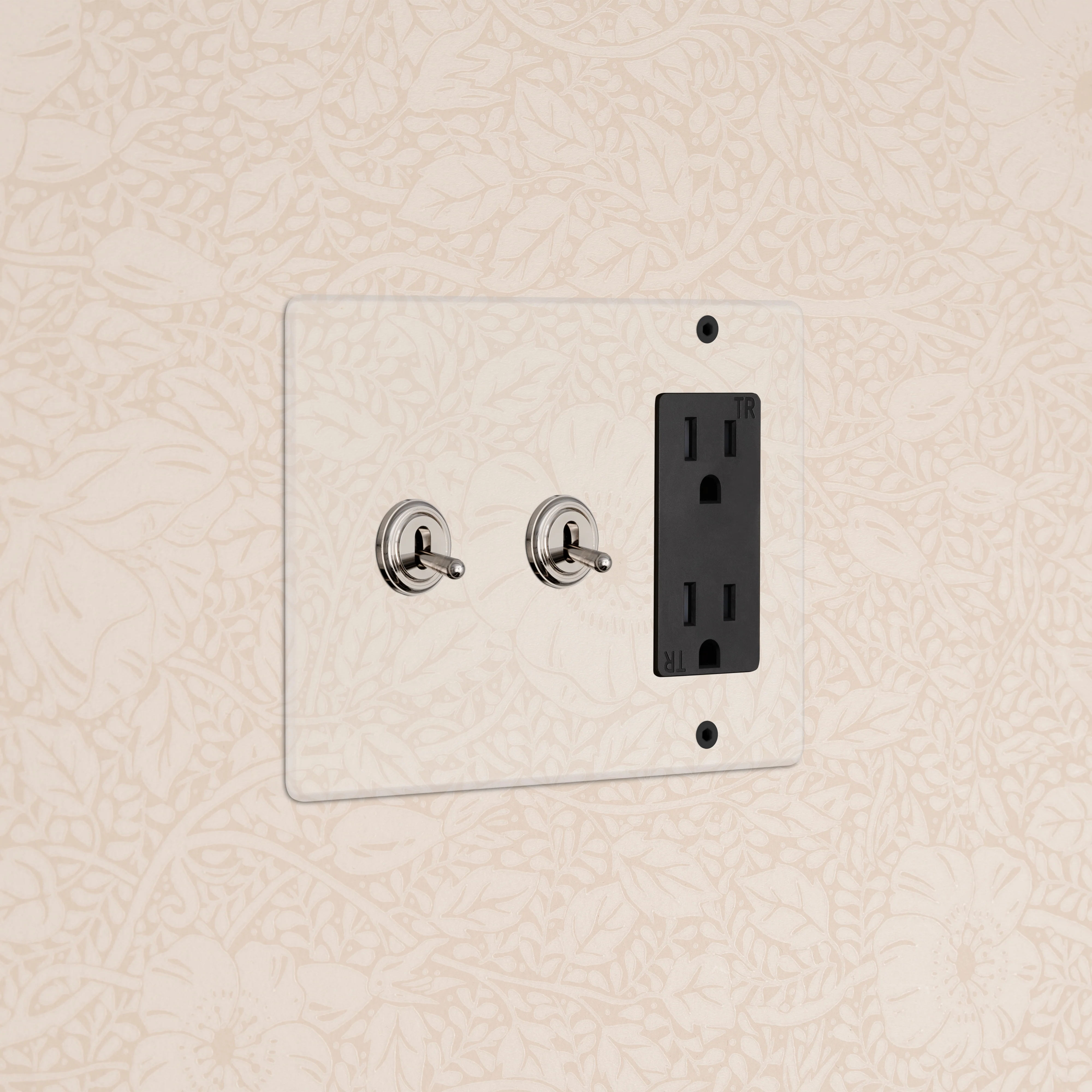 Kew 3G 2x Toggle Switch & Outlet - Clear Polished Nickel Black
