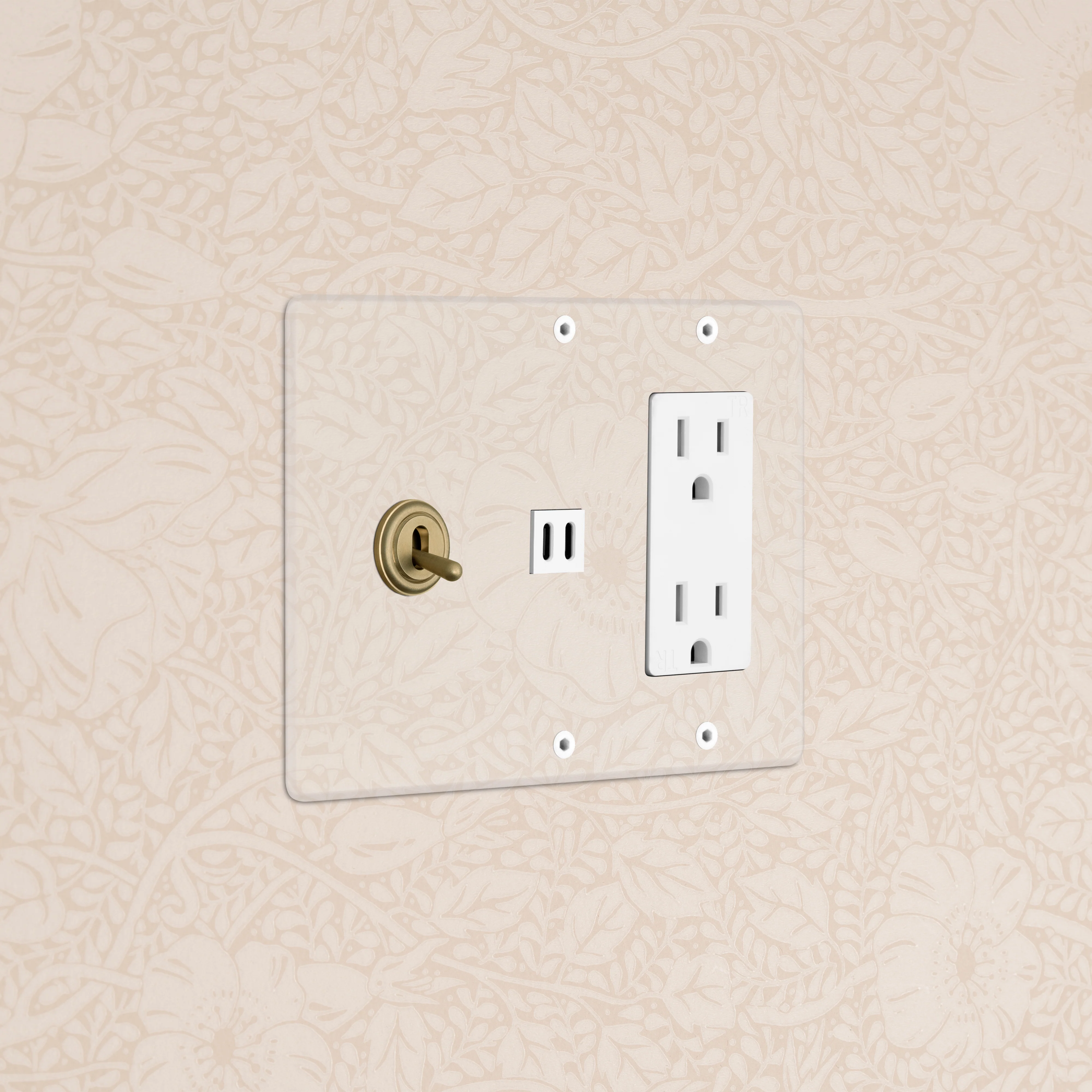Kew 3G Toggle Switch & Outlet & Fast Charge USB - Clear Antique Brass White