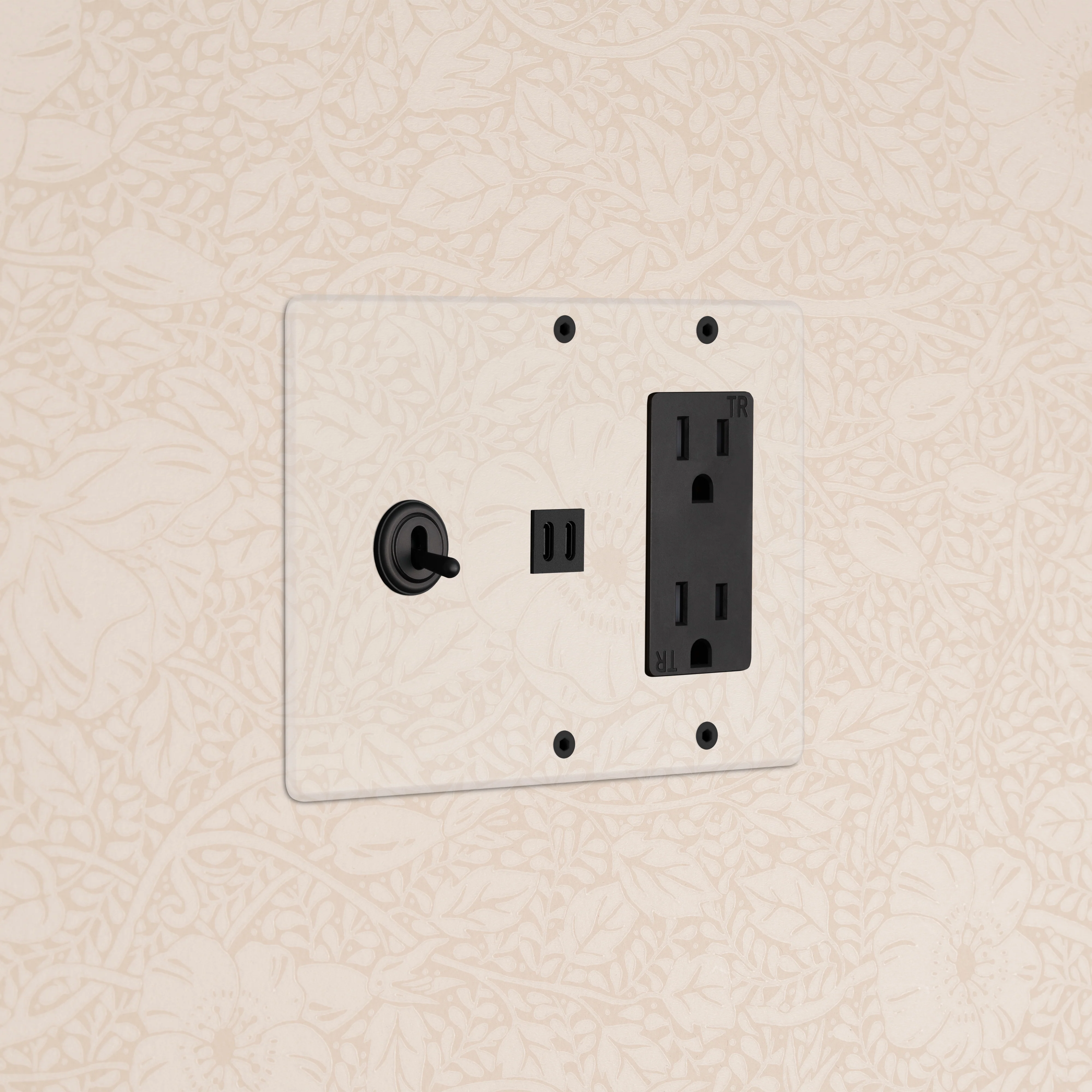 Kew 3G Toggle Switch & Outlet & Fast Charge USB - Clear Bronze Black