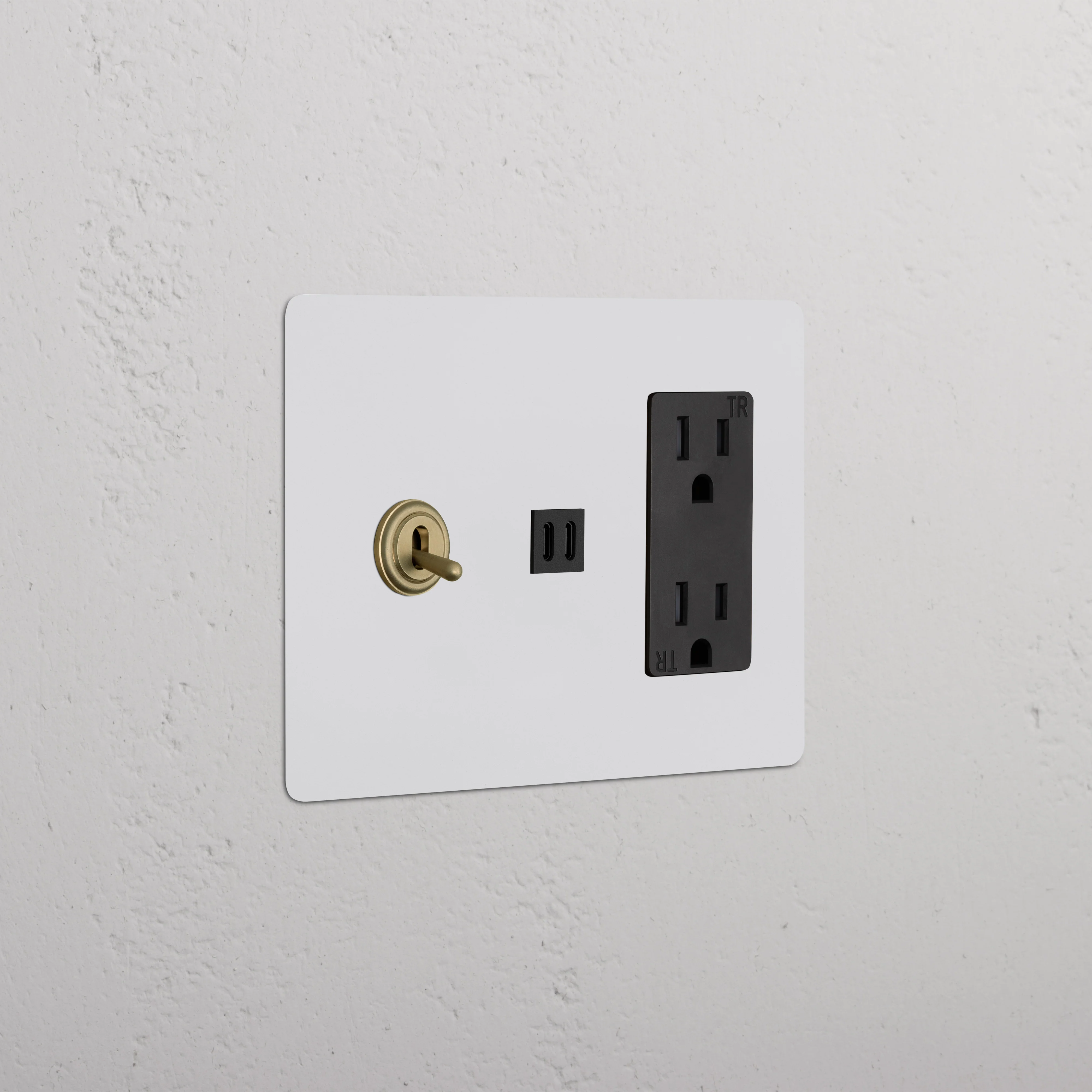 Kew 3G Toggle Switch & Outlet & Fast Charge USB - Paintable Antique Brass Black